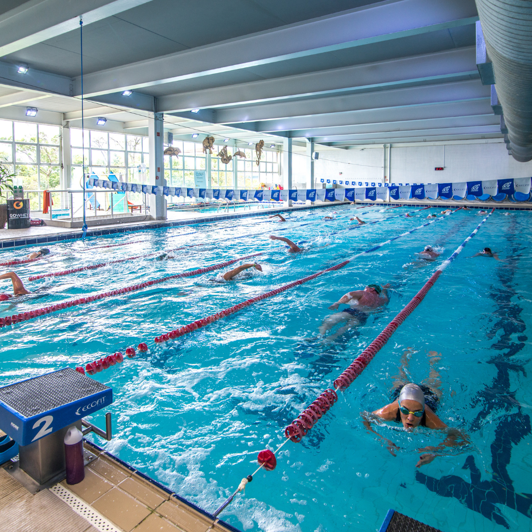 Design sem nome - 2025-09-25T151742.873