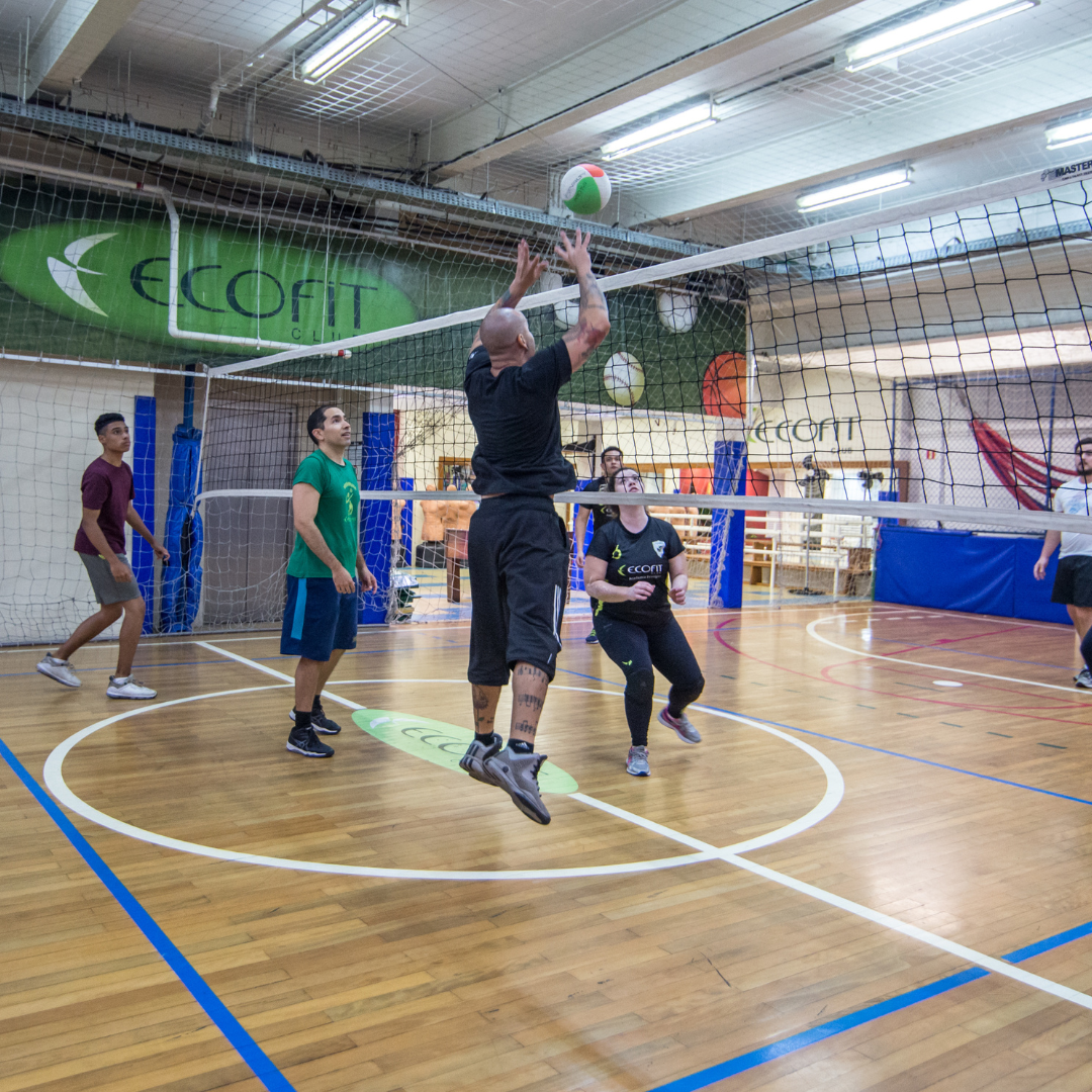 Design sem nome - 2025-09-26T171325.727