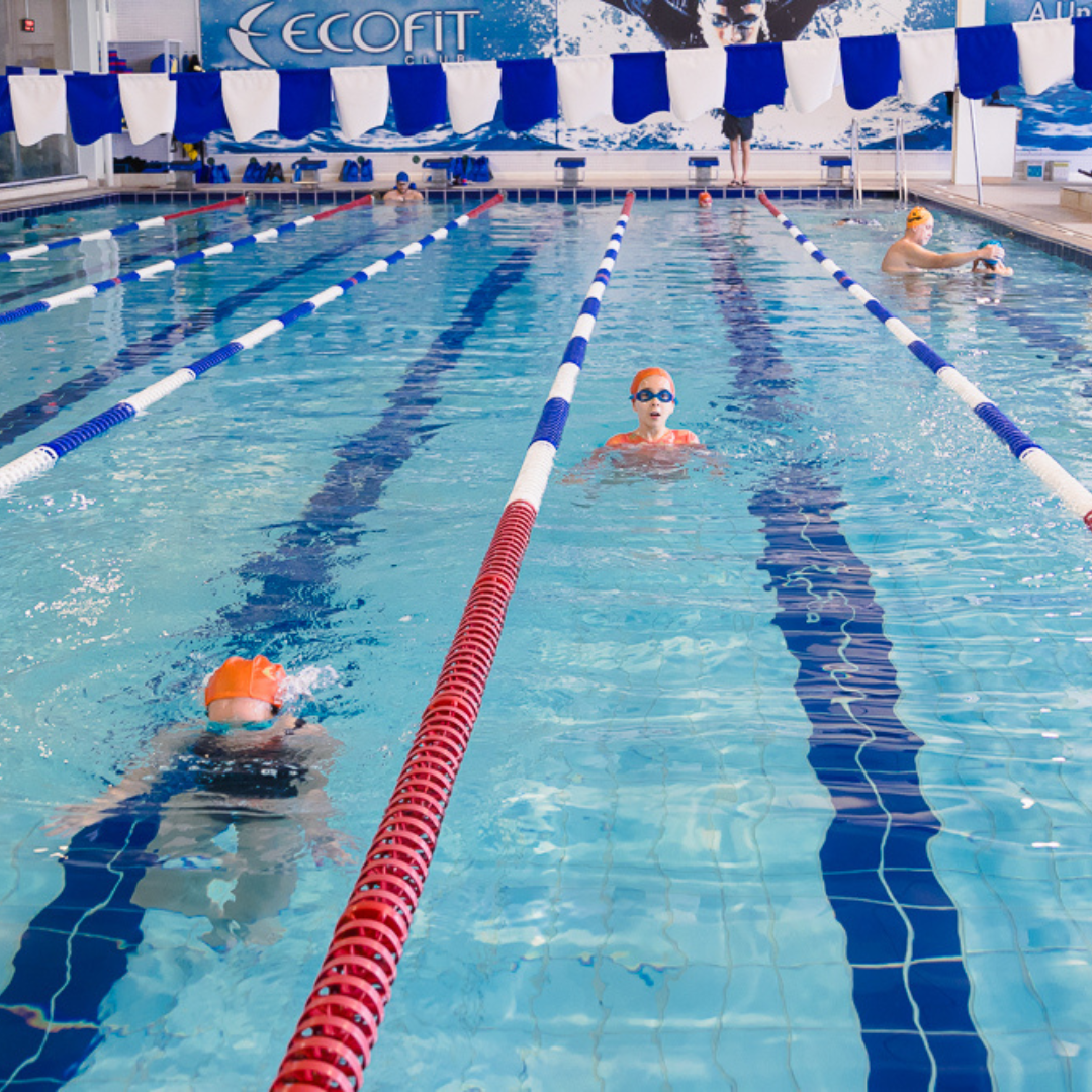 Design sem nome - 2025-10-29T154501.574